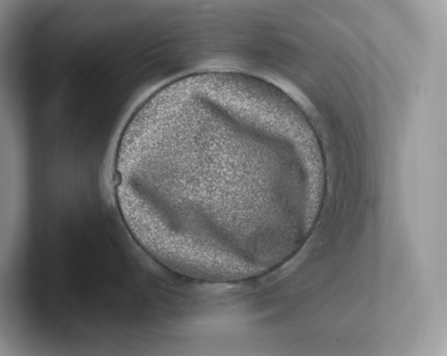 X0000101711248200807311445