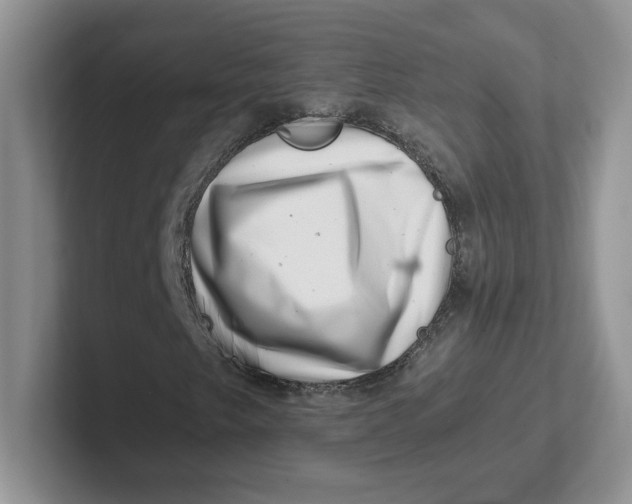 X0000101711249200807311445