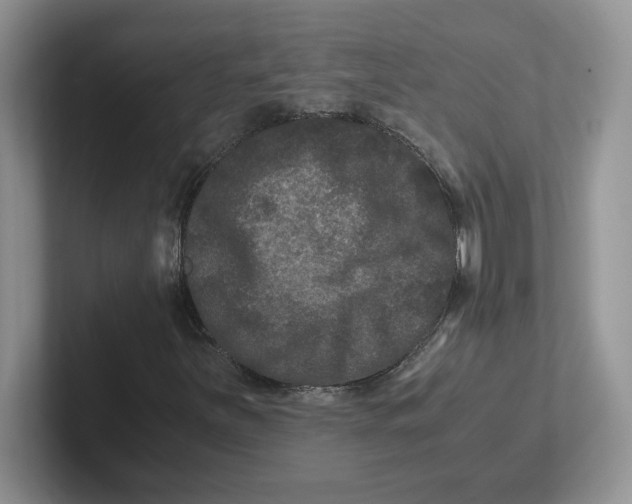 X0000101711251200807311445