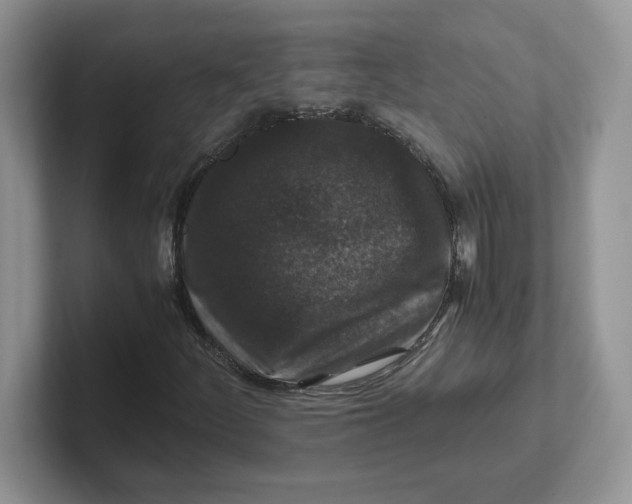 X0000101711252200807311445