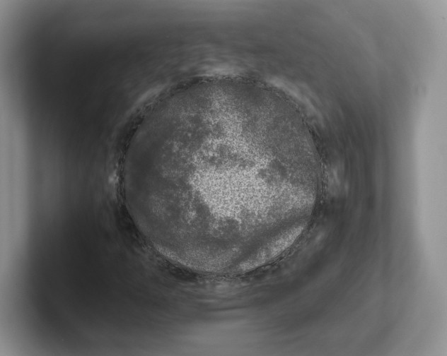 X0000101711254200807311445