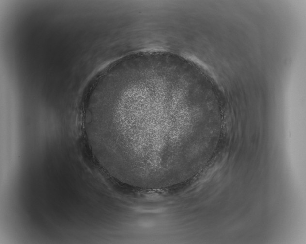 X0000101711255200807311445