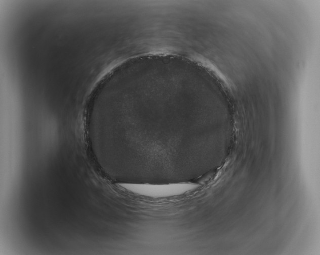 X0000101711256200807311445