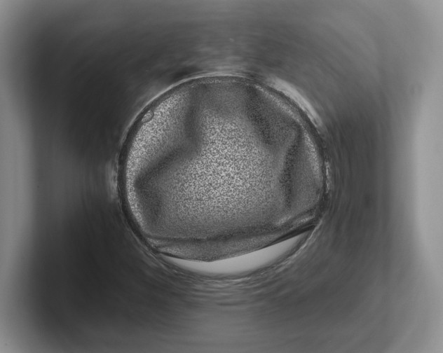 X0000101711260200807311445