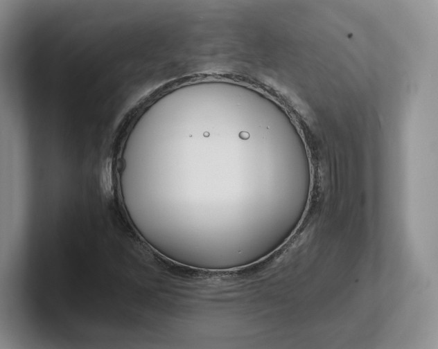 X0000101711262200807311445