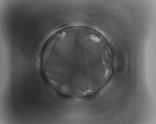 X0000101711263200807311445