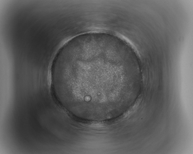 X0000101711267200807311445