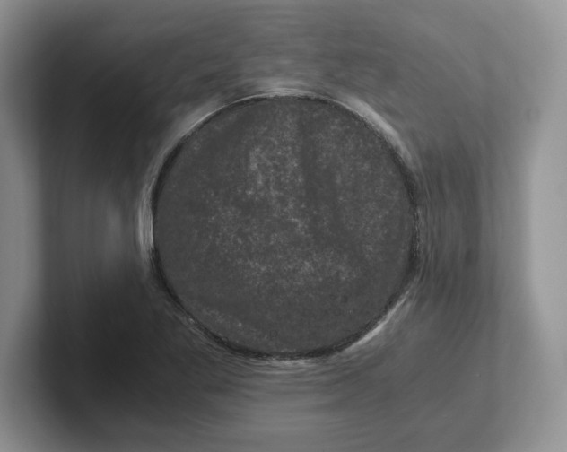 X0000101711269200807311444