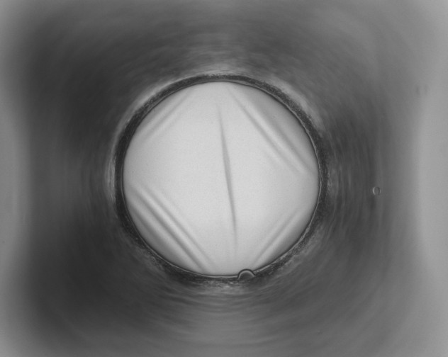 X0000101711270200807311444