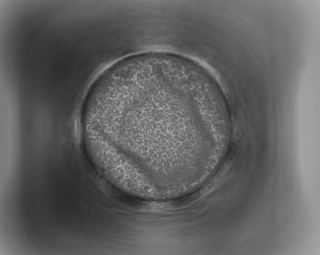 X0000101711271200807311444