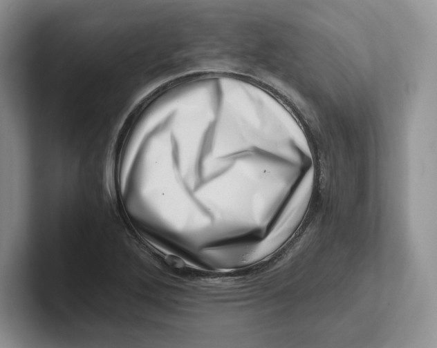 X0000101711272200807311444