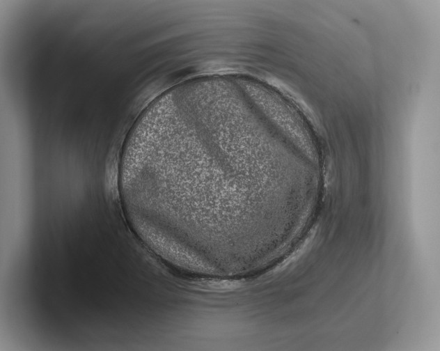 X0000101711273200807311444