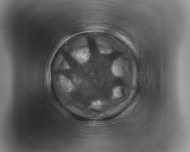 X0000101711275200807311444