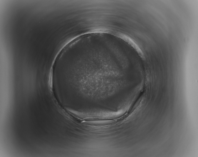 X0000101711276200807311444