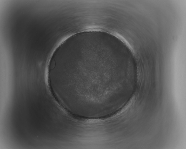 X0000101711277200807311444