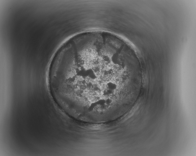 X0000101711279200807311444