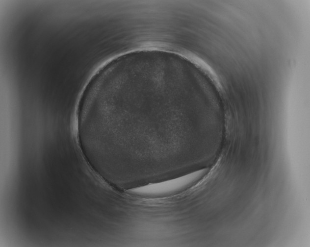 X0000101711280200807311444