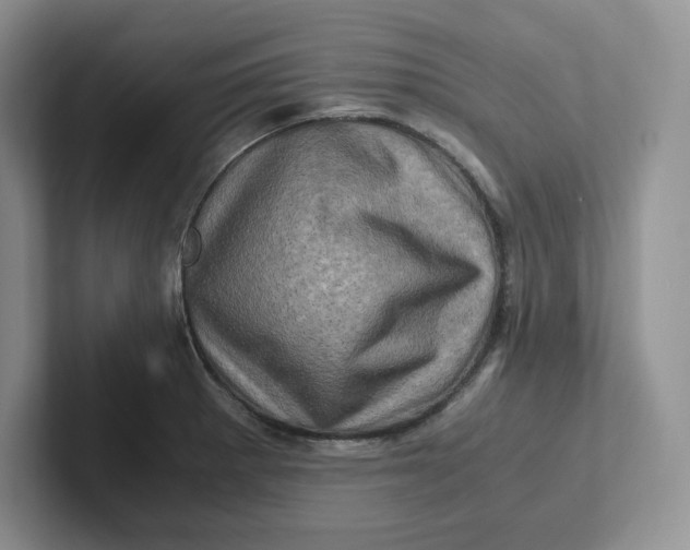 X0000101711281200807311444