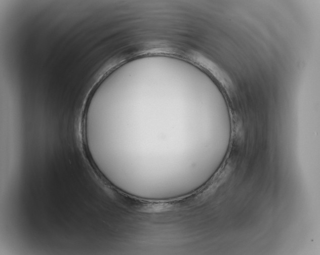 X0000101711282200807311444