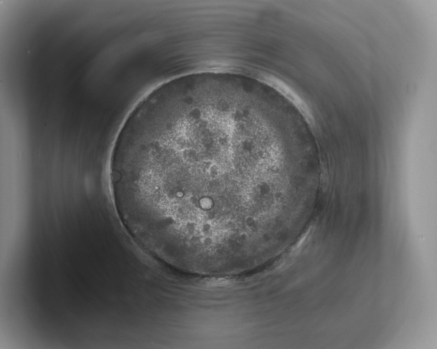 X0000101711283200807311444