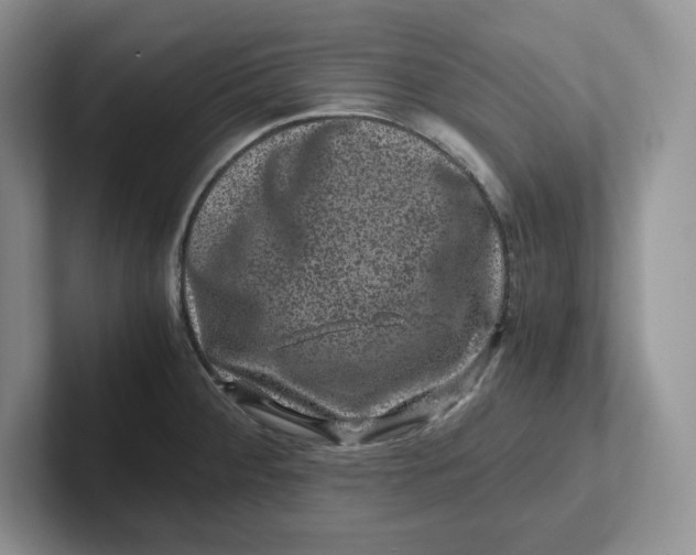 X0000101711284200807311444