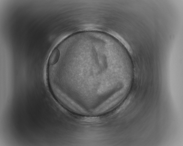 X0000101711285200807311444