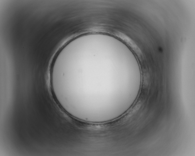 X0000101711286200807311444