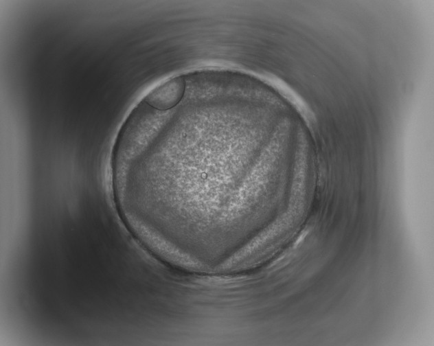 X0000101711287200807311444