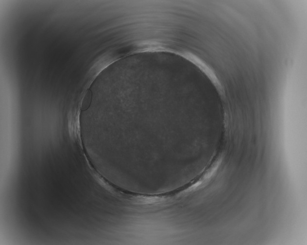 X0000101711289200807311444