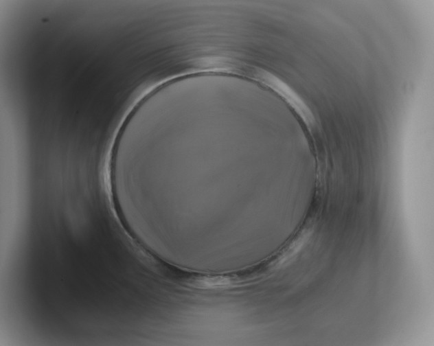 X0000101711291200807311444