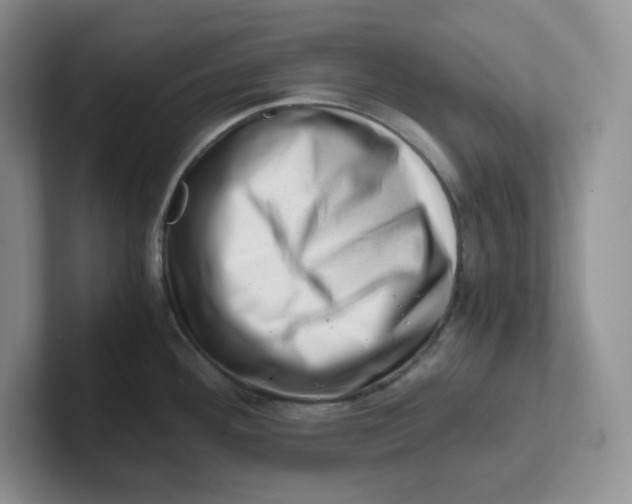 X0000101711292200807311444