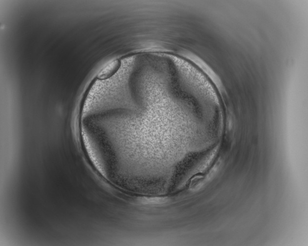 X0000101711293200807311444