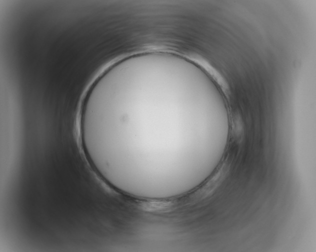 X0000101711294200807311444