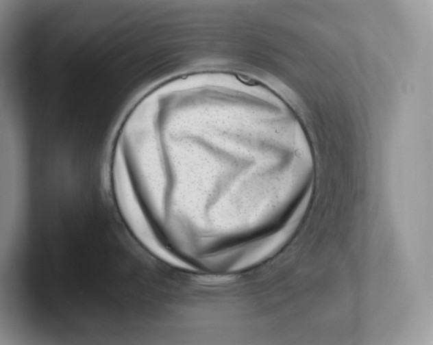 X0000101711296200807311444