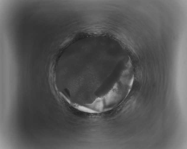 X0000101711297200807311444