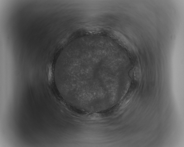 X0000101711298200807311444