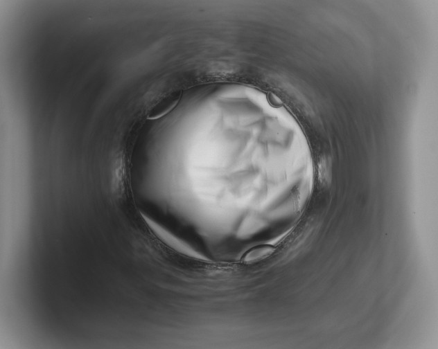 X0000101711299200807311444