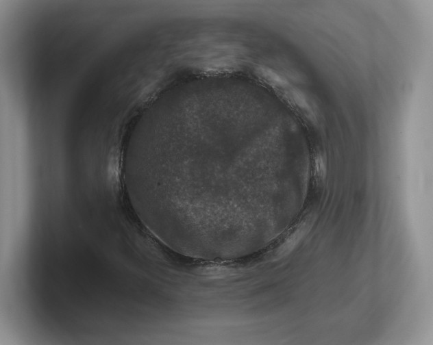 X0000101711300200807311444