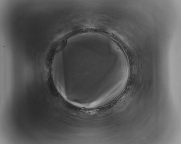 X0000101711303200807311444