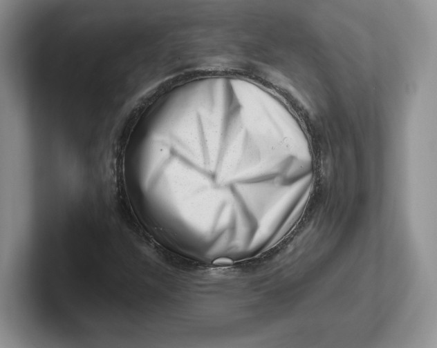 X0000101711304200807311444