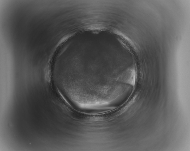 X0000101711306200807311444