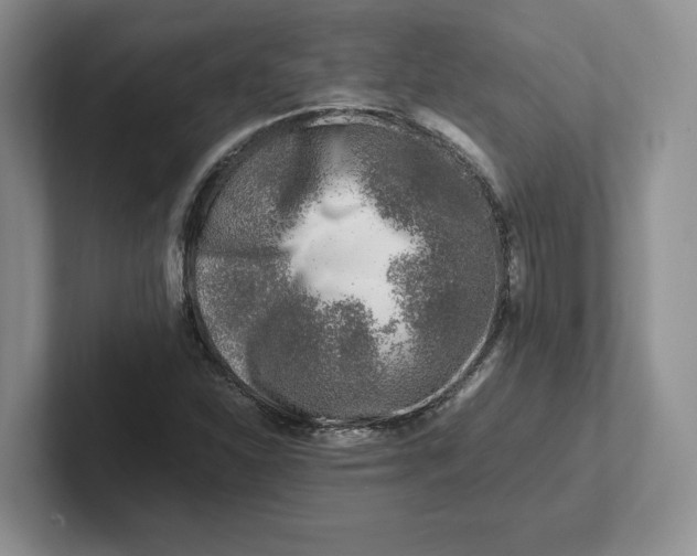 X0000101711310200807311444