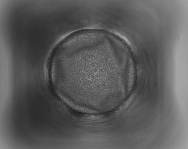 X0000101711311200807311444