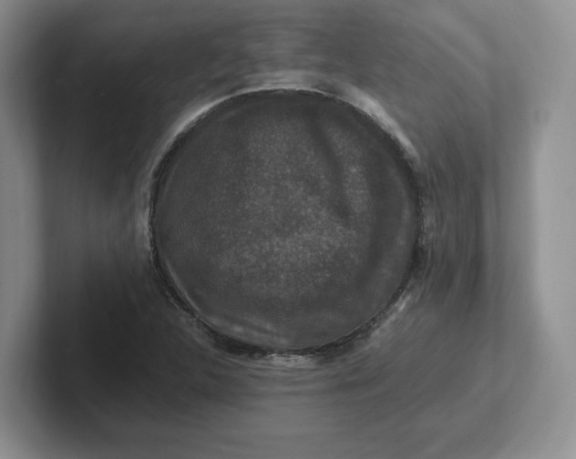 X0000101711312200807311444