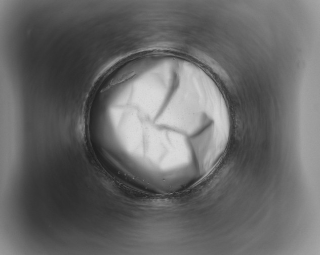 X0000101711316200807311444