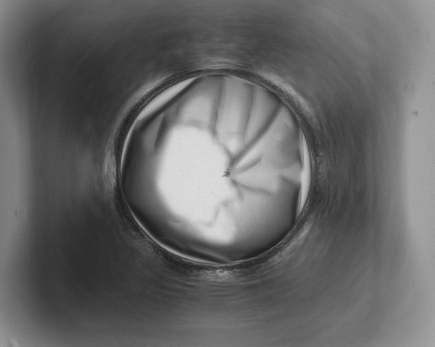 X0000101711317200807311444