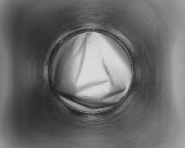 X0000101711318200807311444