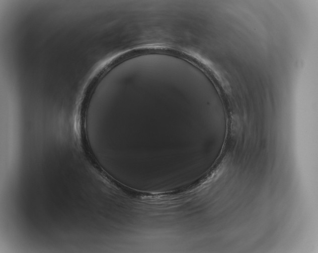 X0000101711319200807311444