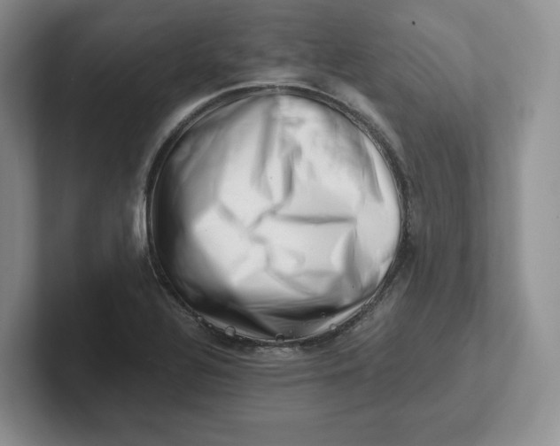 X0000101711320200807311444