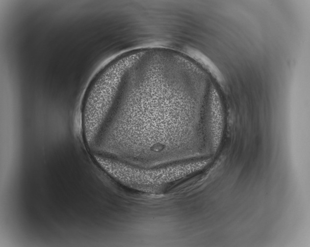 X0000101711324200807311444